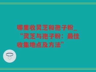 哪里收灵芝和孢子粉_“灵芝与孢子粉：最佳收集地点及方法”