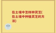 在土壤中怎样种灵芝(在土壤中种植灵芝的方法)