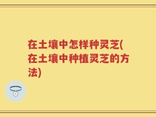 在土壤中怎样种灵芝(在土壤中种植灵芝的方法)