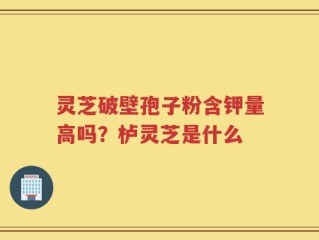 灵芝破壁孢子粉含钾量高吗？栌灵芝是什么