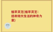植萃灵芝(植萃灵芝：拯救现代生活的神奇力量)