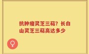 抗肿瘤灵芝三萜？长白山灵芝三萜高达多少