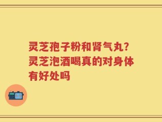 灵芝孢子粉和肾气丸？灵芝泡酒喝真的对身体有好处吗