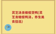 灵芝汤青橄榄煲鸭(灵芝青橄榄鸭汤，养生美食佳选)