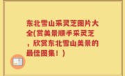 东北雪山采灵芝图片大全(赏美景顺手采灵芝，欣赏东北雪山美景的最佳图集！)