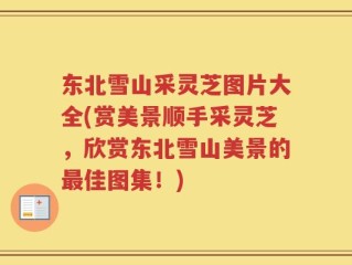 东北雪山采灵芝图片大全(赏美景顺手采灵芝，欣赏东北雪山美景的最佳图集！)