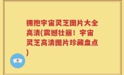 拥抱宇宙灵芝图片大全高清(震撼壮丽！宇宙灵芝高清图片珍藏盘点)