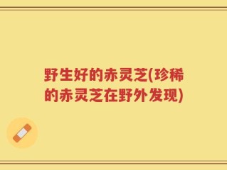 野生好的赤灵芝(珍稀的赤灵芝在野外发现)