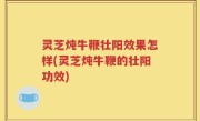 灵芝炖牛鞭壮阳效果怎样(灵芝炖牛鞭的壮阳功效)