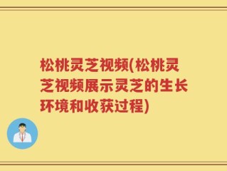 松桃灵芝视频(松桃灵芝视频展示灵芝的生长环境和收获过程)