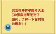 灵芝孢子样子图片大全(30张震撼灵芝孢子图片，了解一下它的奇妙形态！)