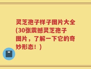 灵芝孢子样子图片大全(30张震撼灵芝孢子图片，了解一下它的奇妙形态！)