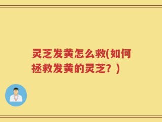 灵芝发黄怎么救(如何拯救发黄的灵芝？)