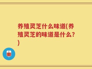 养殖灵芝什么味道(养殖灵芝的味道是什么？)