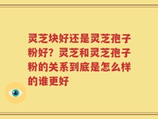 灵芝块好还是灵芝孢子粉好？灵芝和灵芝孢子粉的关系到底是怎么样的谁更好