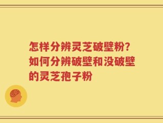 怎样分辨灵芝破壁粉？如何分辨破壁和没破壁的灵芝孢子粉