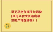 灵芝药材在哪生长最快(灵芝药材生长速度最快的产地在哪里？)