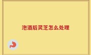 泡酒后灵芝怎么处理