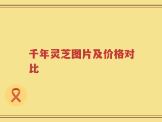 千年灵芝图片及价格对比