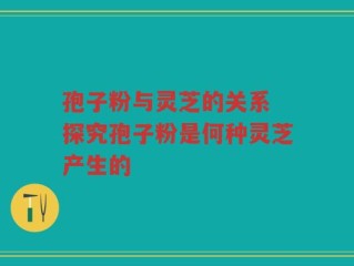 孢子粉与灵芝的关系 探究孢子粉是何种灵芝产生的