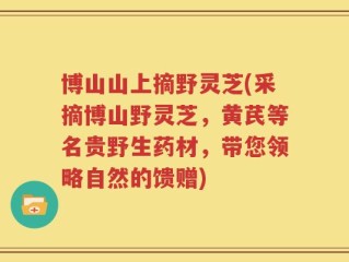 博山山上摘野灵芝(采摘博山野灵芝，黄芪等名贵野生药材，带您领略自然的馈赠)