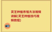 灵芝种植养殖方法视频讲解(灵芝种植技巧视频教程)