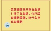 灵芝破壁孢子粉白血病？得了白血病，化疗后白细胞偏低，吃什么补充白细胞