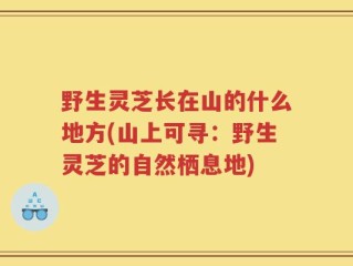 野生灵芝长在山的什么地方(山上可寻：野生灵芝的自然栖息地)