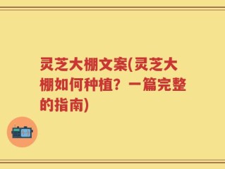 灵芝大棚文案(灵芝大棚如何种植？一篇完整的指南)