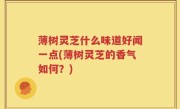 薄树灵芝什么味道好闻一点(薄树灵芝的香气如何？)