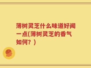 薄树灵芝什么味道好闻一点(薄树灵芝的香气如何？)