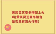 黄芪灵芝麦冬搭配上火吗(黄芪灵芝麦冬组合是否具有清火作用)