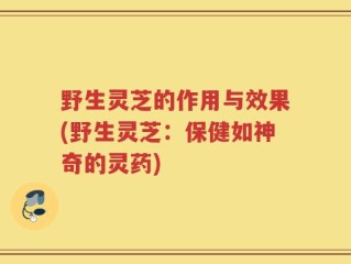 野生灵芝的作用与效果(野生灵芝：保健如神奇的灵药)