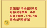 灵芝图片手抄报简单又好看(简单美观！手抄报灵芝图片，让你了解奇妙的药用植物)