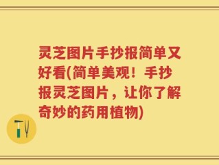 灵芝图片手抄报简单又好看(简单美观！手抄报灵芝图片，让你了解奇妙的药用植物)