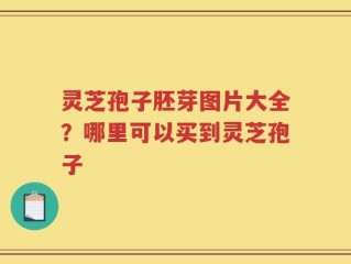 灵芝孢子胚芽图片大全？哪里可以买到灵芝孢子