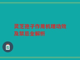 灵芝孢子作用机理功效及禁忌全解析