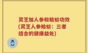 灵芝加人参和蛤蚧功效(灵芝人参蛤蚧：三者结合的健康益处)