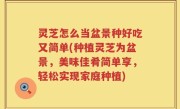 灵芝怎么当盆景种好吃又简单(种植灵芝为盆景，美味佳肴简单享，轻松实现家庭种植)
