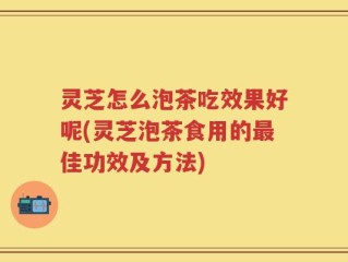 灵芝怎么泡茶吃效果好呢(灵芝泡茶食用的最佳功效及方法)