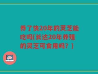 养了快20年的灵芝能吃吗(长达20年养殖的灵芝可食用吗？)