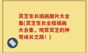 灵芝生长插画图片大全集(灵芝生长全程插画大合集，观赏灵芝的神奇成长之路！)