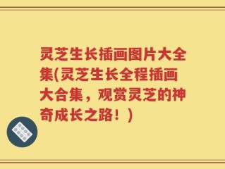 灵芝生长插画图片大全集(灵芝生长全程插画大合集，观赏灵芝的神奇成长之路！)