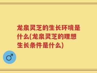 龙泉灵芝的生长环境是什么(龙泉灵芝的理想生长条件是什么)