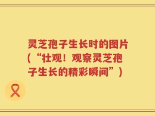 灵芝孢子生长时的图片(“壮观！观察灵芝孢子生长的精彩瞬间”)