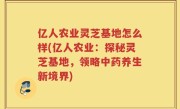 亿人农业灵芝基地怎么样(亿人农业：探秘灵芝基地，领略中药养生新境界)