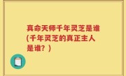 真命天师千年灵芝是谁(千年灵芝的真正主人是谁？)