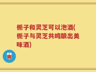 栀子和灵芝可以泡酒(栀子与灵芝共鸣酿出美味酒)