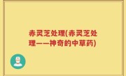 赤灵芝处理(赤灵芝处理——神奇的中草药)