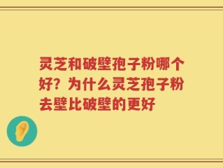 灵芝和破壁孢子粉哪个好？为什么灵芝孢子粉去壁比破壁的更好